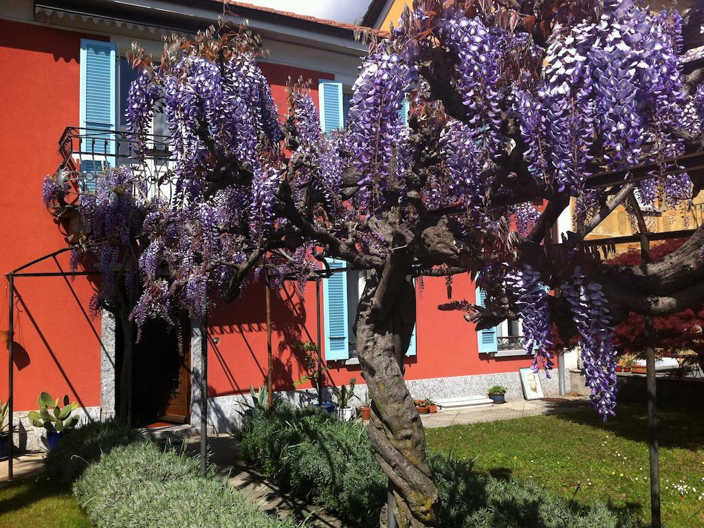 B&B villa sempreverde Locarno Exteriör bild