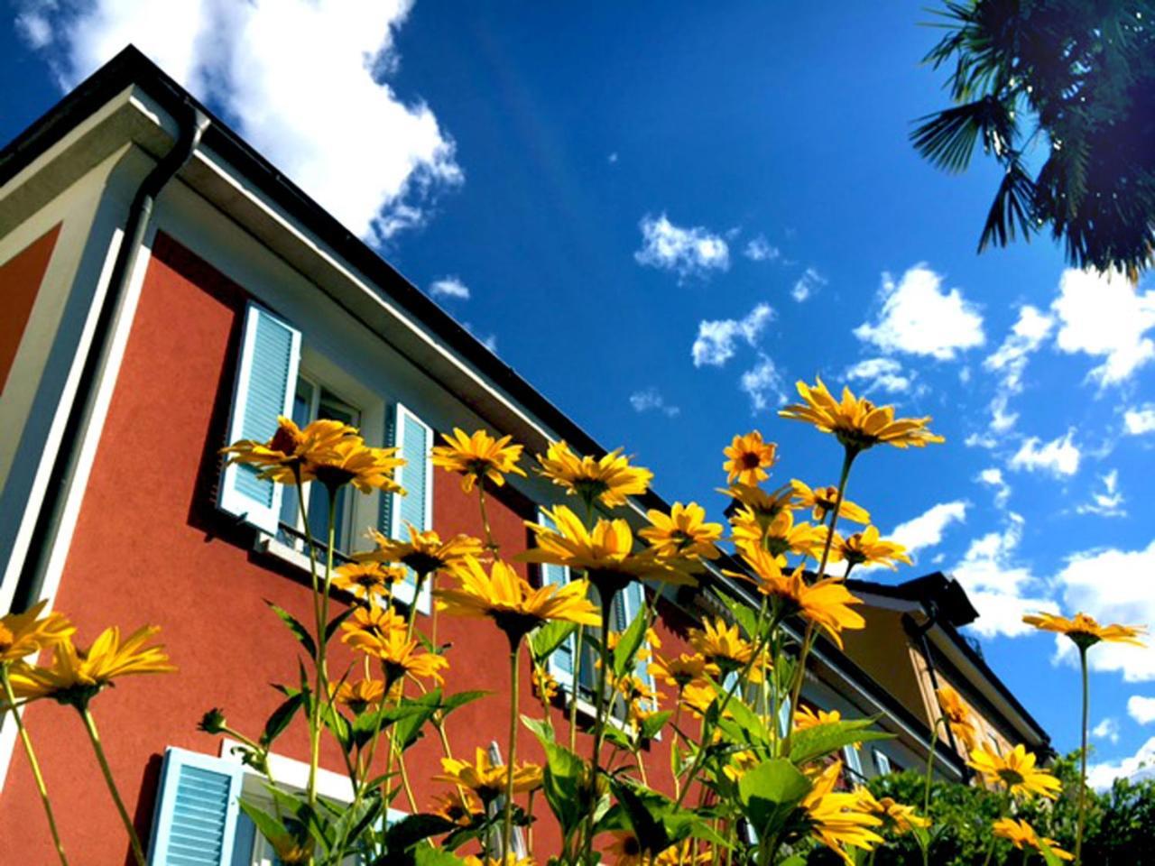 B&B villa sempreverde Locarno Exteriör bild