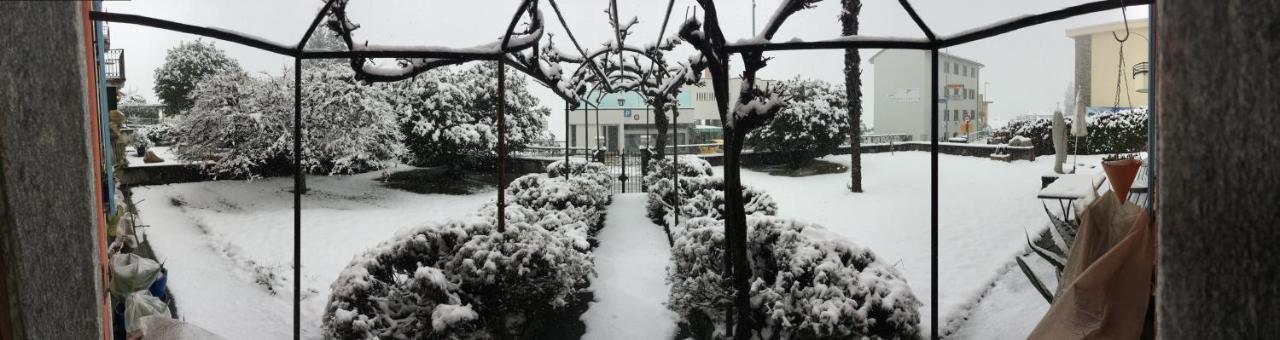 B&B villa sempreverde Locarno Exteriör bild